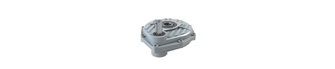 PENDULARES