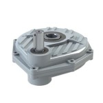 PENDULARES